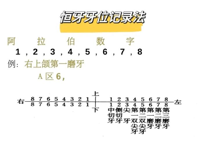 上颌第一磨牙备牙方法有哪些？不同适应症（全冠/嵌体）下如何精准操作并规避常见并发症？-图2