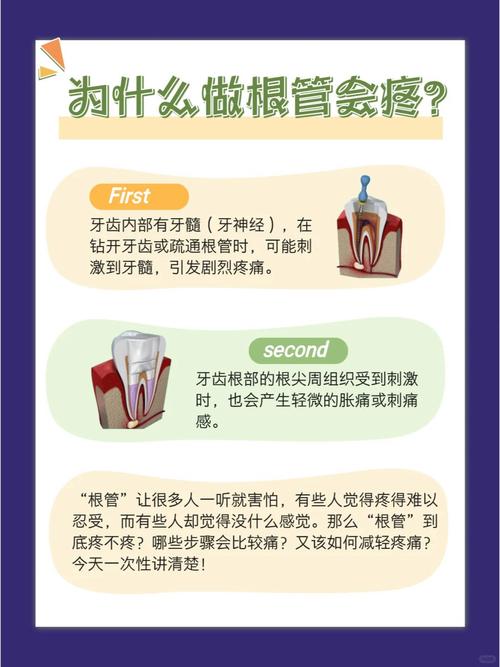 根管治疗中如何识别高风险解剖因素?有哪些规范化操作策略能显著降低侧穿发生风险?-图1 根管治疗中如何识别高风险解剖因素?有哪些规范化操作策略能显著降低侧穿发生风险?-图1