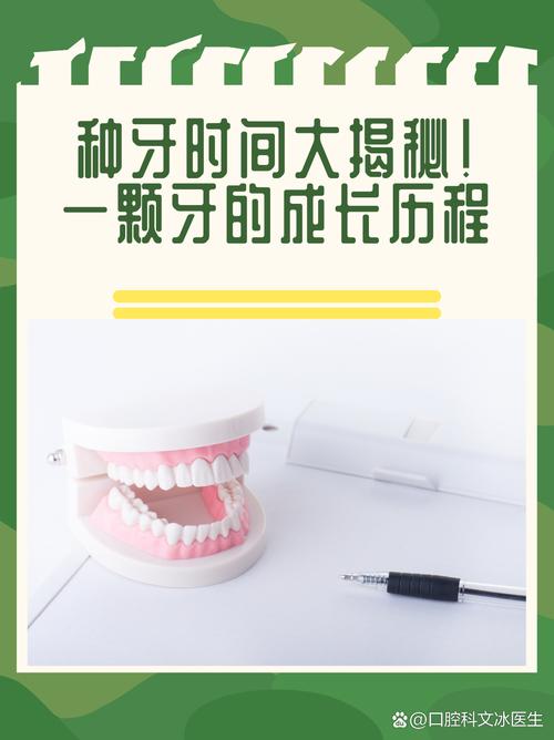 种牙的存活时间为何能长达数十年？其背后涉及哪些关键因素与日常维护要点？-图1