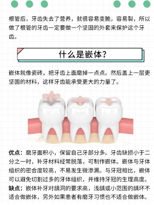 牙齿茜体支配方法具体指什么？其实施步骤和适用场景有哪些？-图1