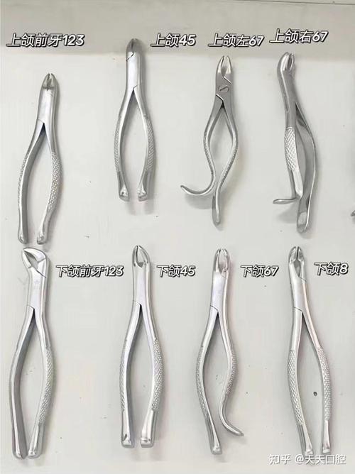 拔牙钳子的正确使用步骤有哪些？不同牙齿类型如何选择合适的拔牙钳子？使用时需注意哪些关键事项？-图3