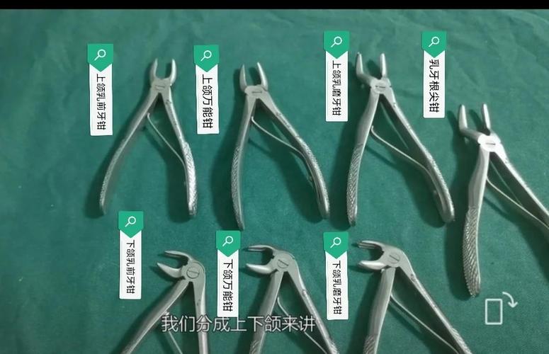 拔牙钳子的正确使用步骤有哪些？不同牙齿类型如何选择合适的拔牙钳子？使用时需注意哪些关键事项？-图2