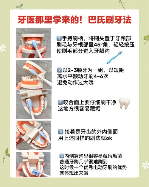 刷牙方法步骤图，正确刷牙步骤是怎样的？-图2