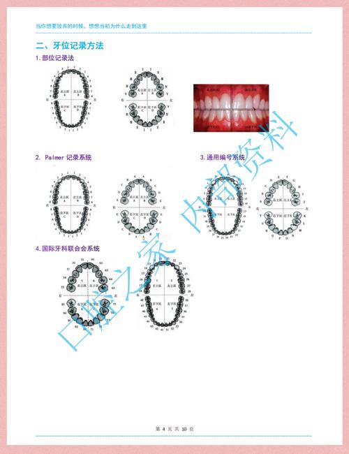 口腔牙列记录方法有哪些?如何正确应用?-图1 口腔牙列记录方法有哪些?如何正确应用?-图1