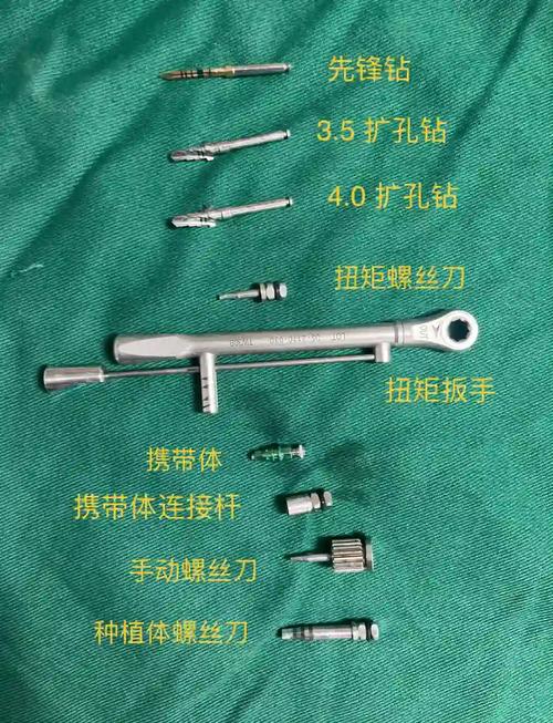 种牙手术从哪开刀-图3