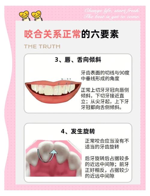 咬合诱导与正畸的区别具体表现在哪些方面?-图2 咬合诱导与正畸的区别具体表现在哪些方面?-图2
