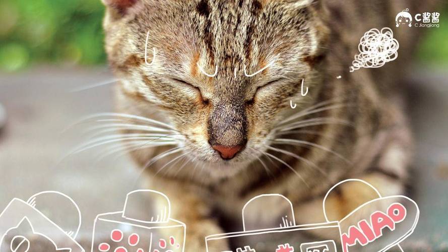 如何自助下单dy赞快手低价业务？便宜网址哪里找？-图3