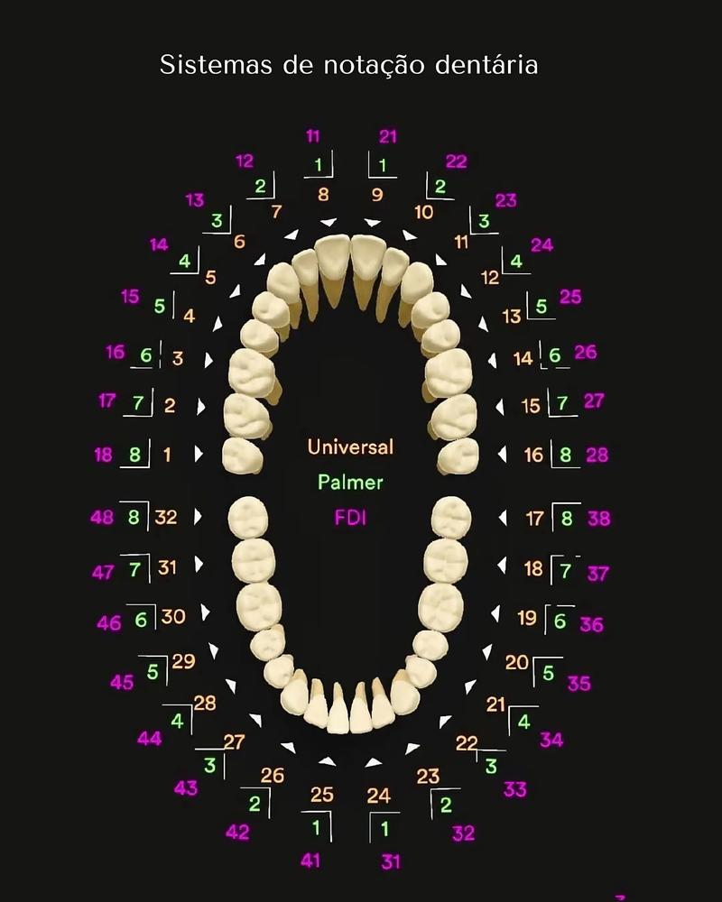 牙位置记录方法有哪些实用技巧？-图1