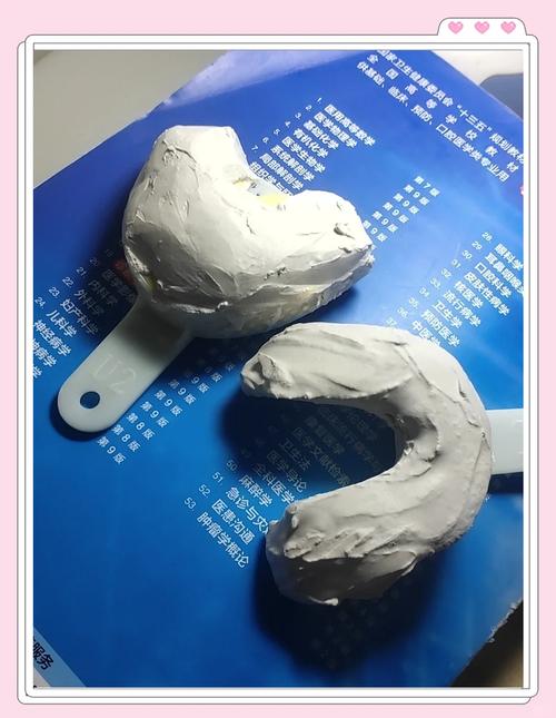 藻酸盐灌模型方法的关键步骤是什么？-图1