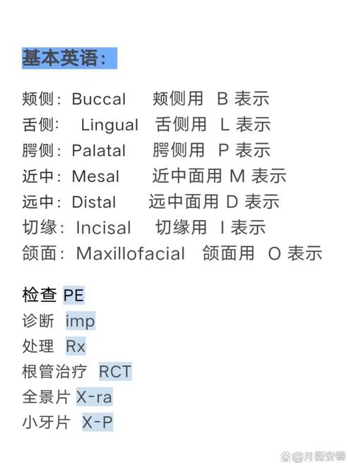 口腔正畸科医生的英文正确说法是什么？-图1