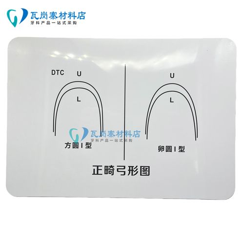 正畸标准弓形弯制如何精准弯制出标准形态？-图3