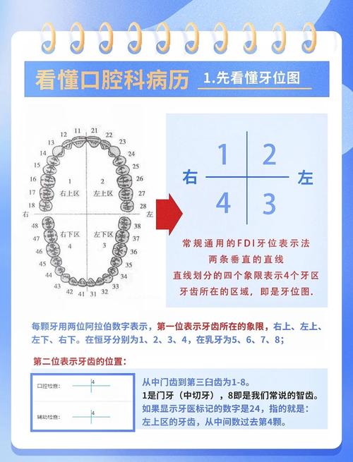 口腔牙面记录方法的具体操作要点有哪些？-图2