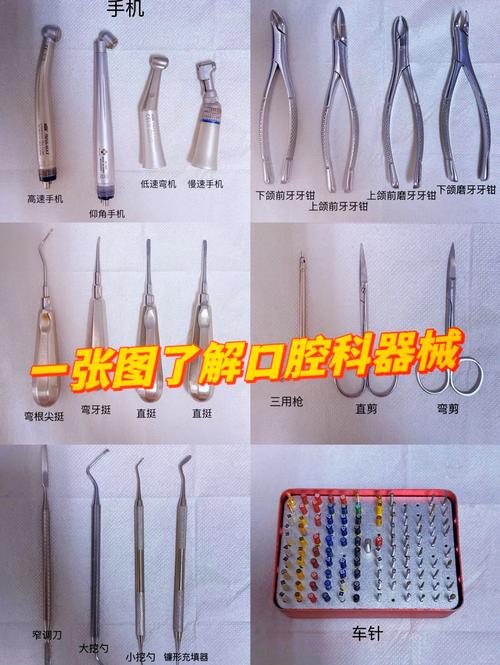 如何正确处理口腔钳子？规范方法与步骤-图1