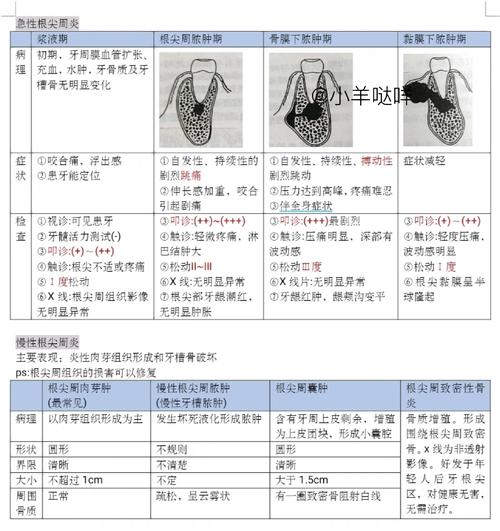 牙髓炎的诊断方法有哪些？这些关键方法你了解吗？-图2