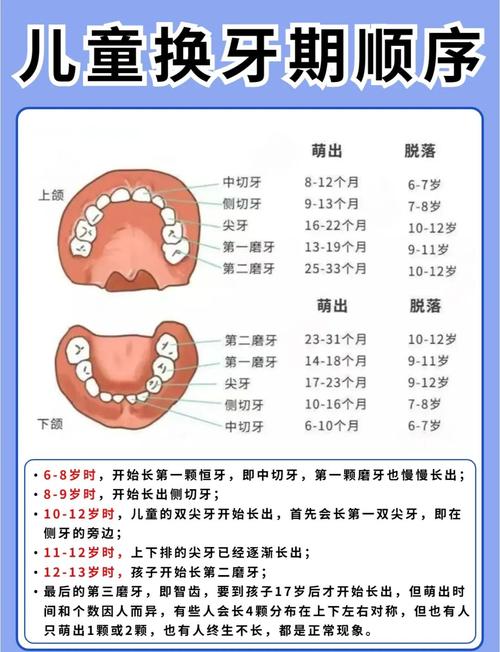 小孩口腔正畸的最佳年龄，究竟该几岁开始？-图3