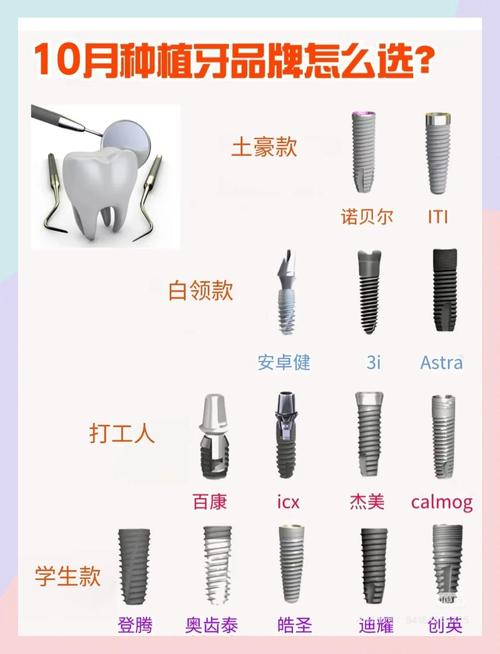 种牙材质怎么选？哪种更耐用又合适？-图2