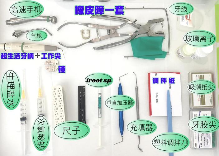 一次性根充方法如何有效实施?-图2 一次性根充方法如何有效实施?-图2