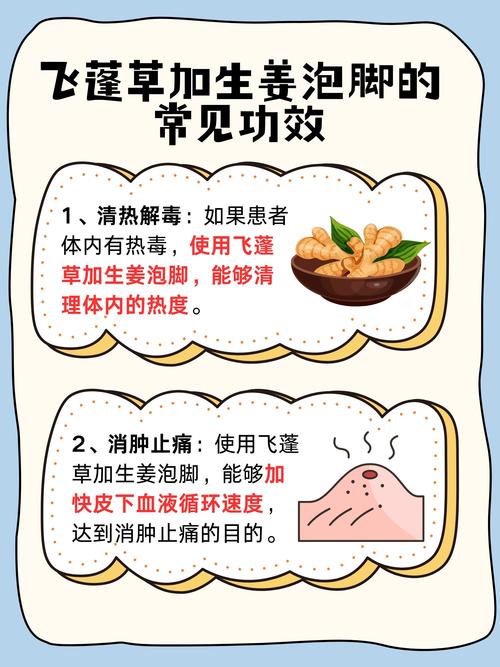 丁必除如何正确使用?详细步骤与注意事项-图2 丁必除如何正确使用?详细步骤与注意事项-图2