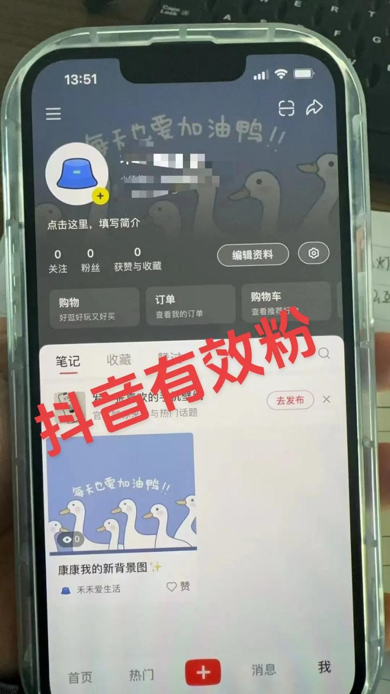 环迷dy抖音涨粉自助下单，如何实现低价操作？-图3