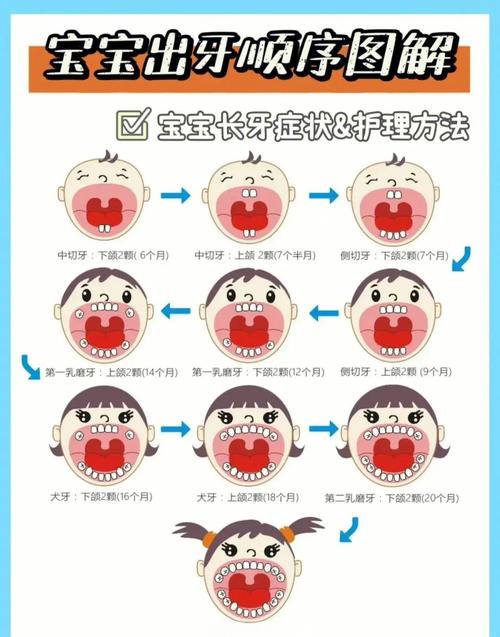 长出新牙有科学方法吗？如何实现牙齿再生？-图2