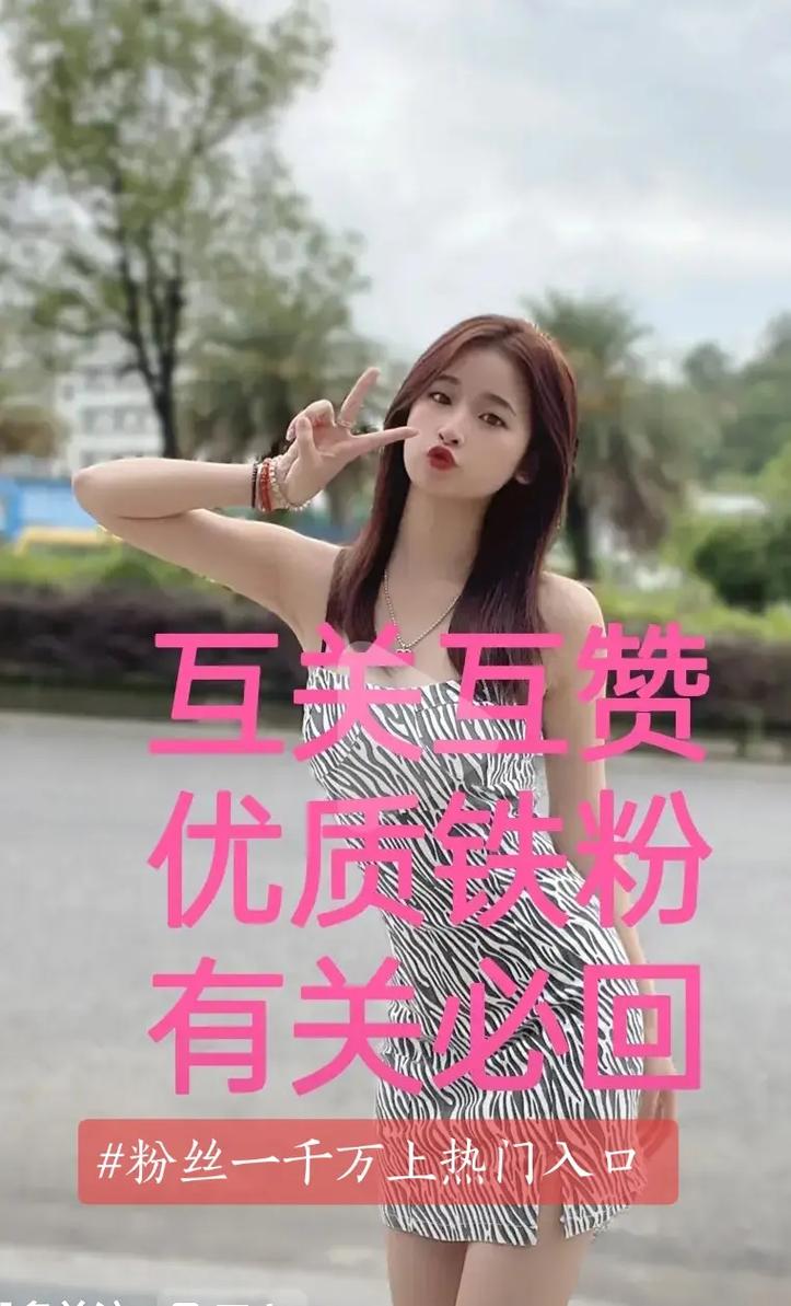 抖音僵尸粉、赞自助下单黄石业务靠谱吗？-图3