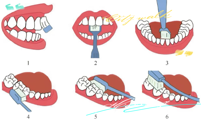 巴斯刷牙法的正确步骤是什么？-图1