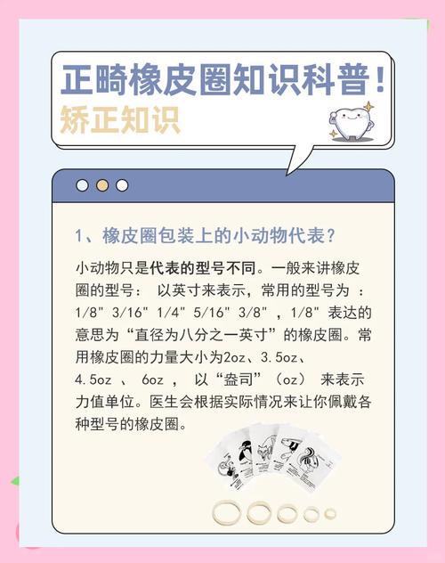 正畸皮圈为何用动物型号命名？对应关系如何？-图3