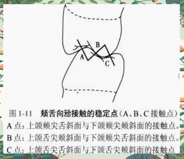 咬合检查的方法有哪些具体步骤?-图3 咬合检查的方法有哪些具体步骤?-图3