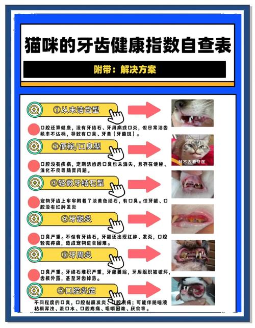 口臭牙治疗方法-图2 口臭牙治疗方法-图2