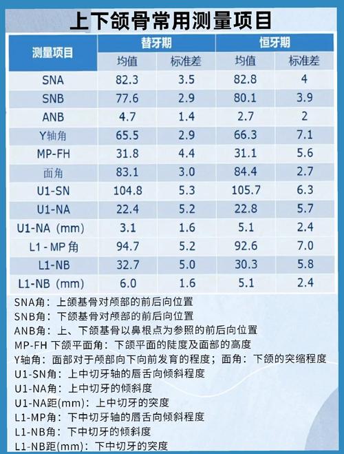 正畸模型如何分析牙量骨量协调性？-图1