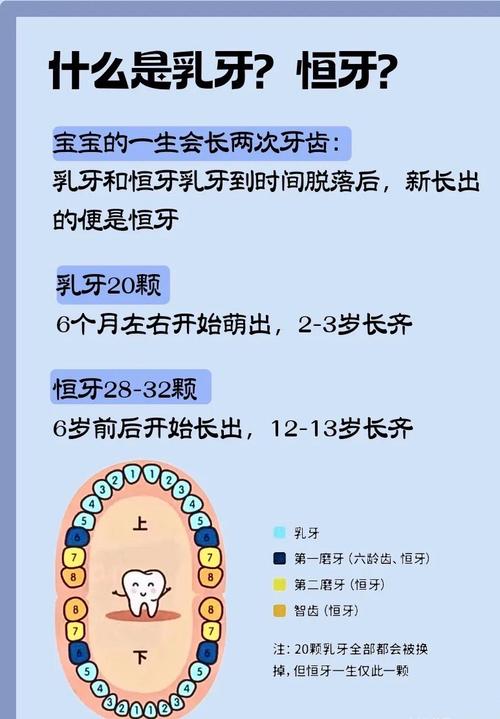 乳牙表示方法有哪些？常用符号是什么？-图1