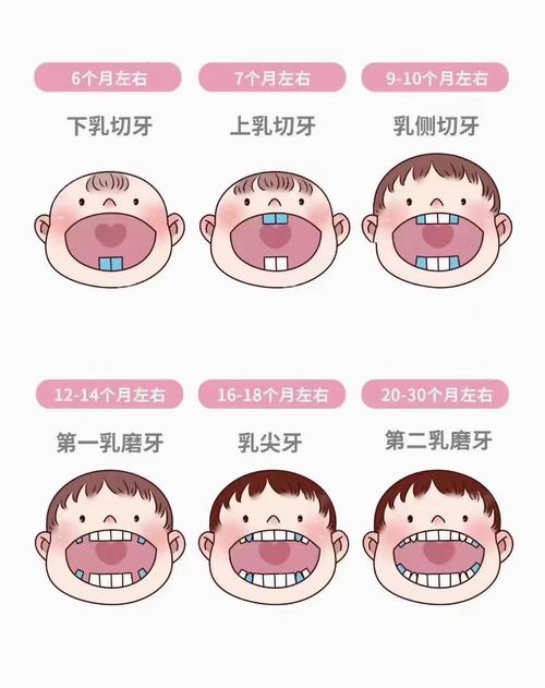 乳牙表示方法有哪些？常用符号是什么？-图2