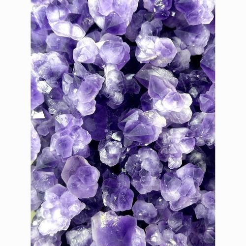 紫晶种牙多少钱-图2