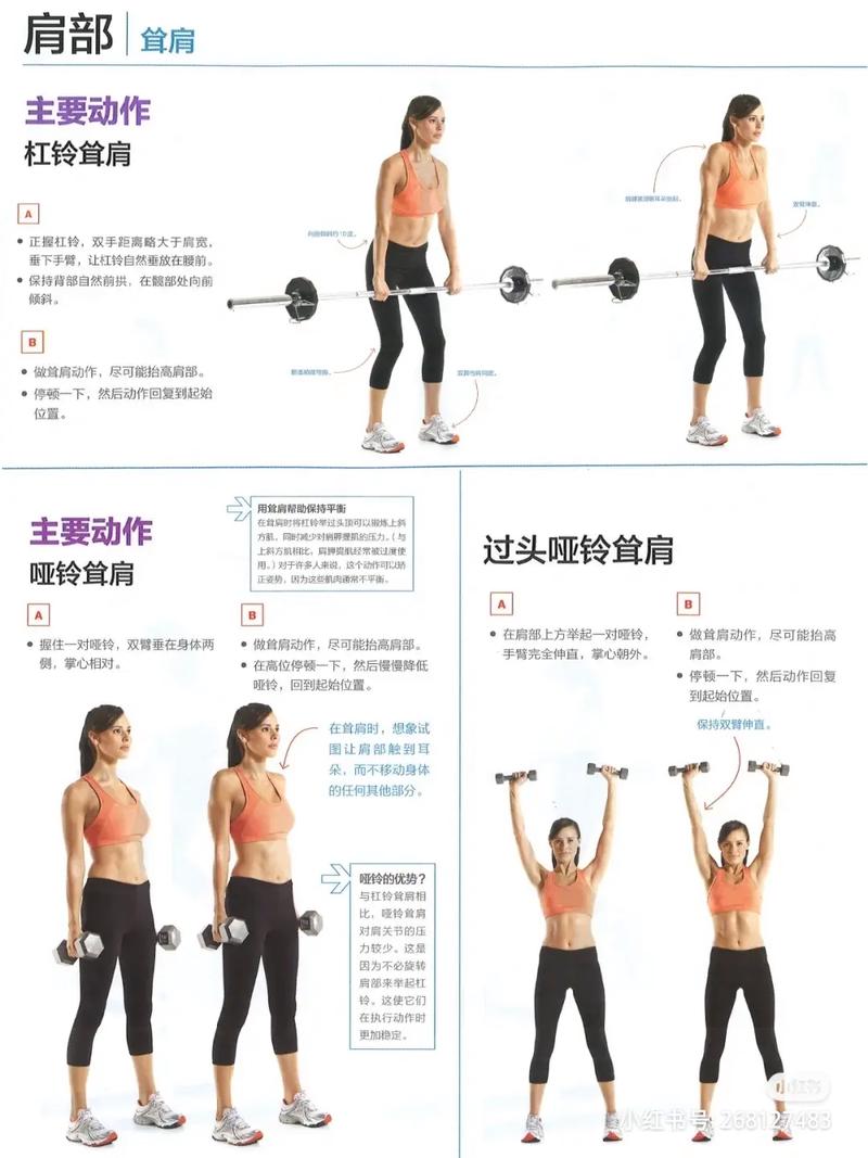 肩台预备方法-图2