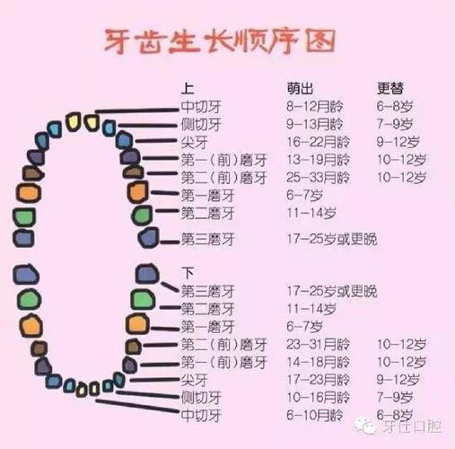 拔乳牙 方法-图2