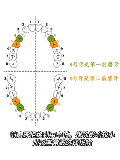 正畸收完牙缝，龅牙为何仍未改善？原因出在哪儿？-图2