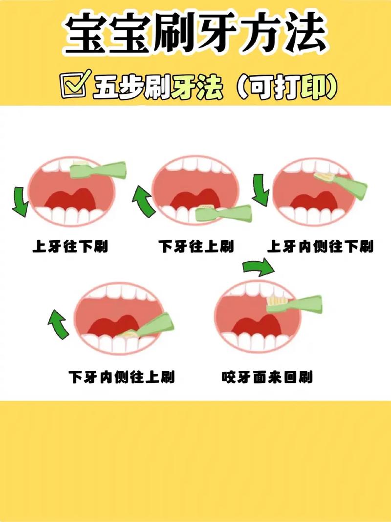 口腔学习方法-图3