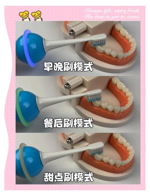 牙根吸收多少不能正畸-图3