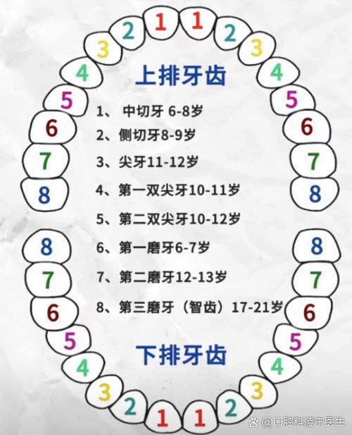 小孩正畸牙齿的最佳矫正年龄是什么时候？-图3