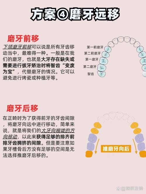 正畸拔掉的牙，到底需要多久才能重新长好？-图3
