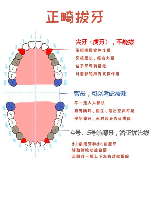 正畸深覆盖拔2颗牙-图1
