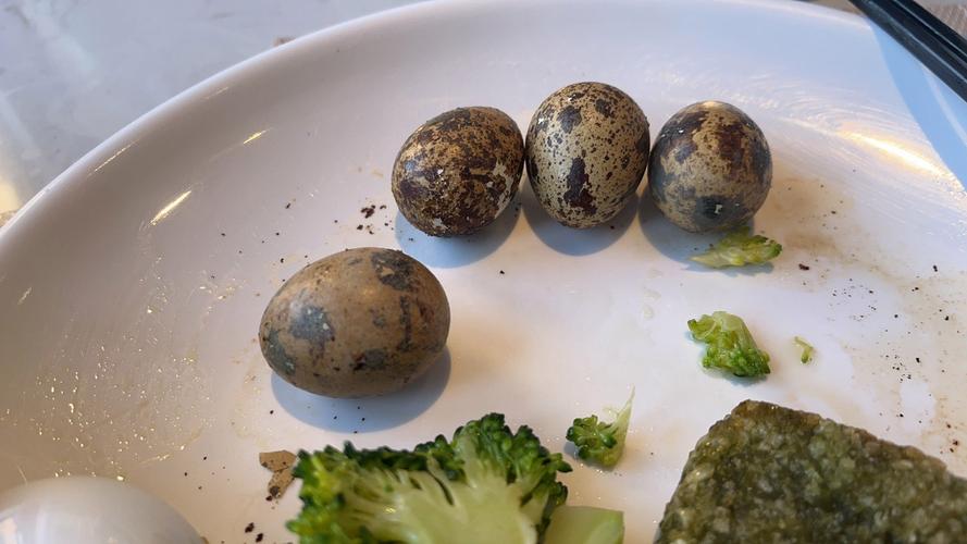 正畸矫治器制作培训-图1 正畸矫治器制作培训-图1