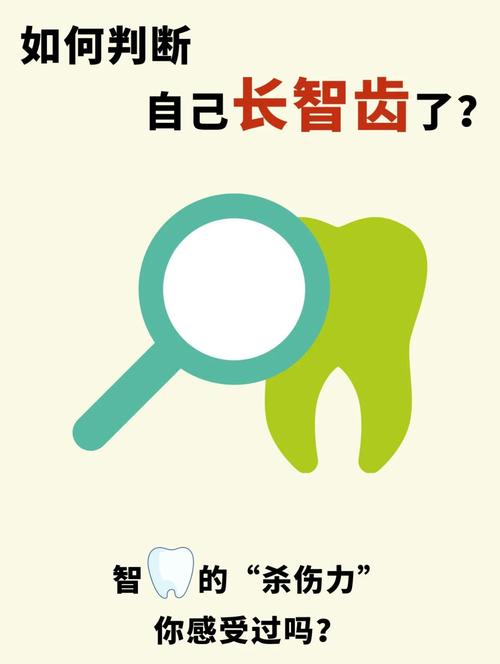 智慧牙可以种吗-图3 智慧牙可以种吗-图3