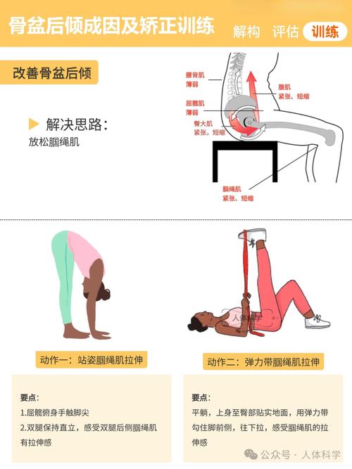 正畸后倾曲如何弯制-图2