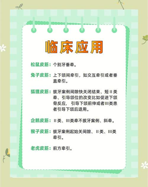 正畸粘结剂使用说明-图2