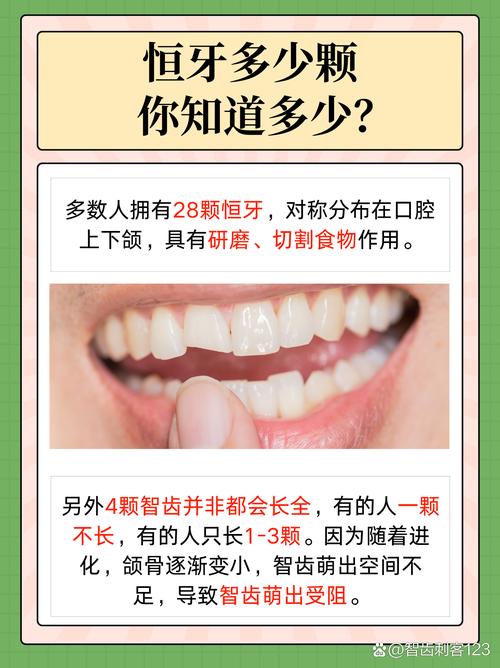 最多能种几颗牙-图2