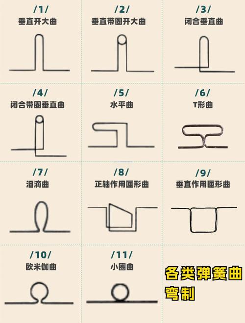 正畸 曲的弯制方法-图1