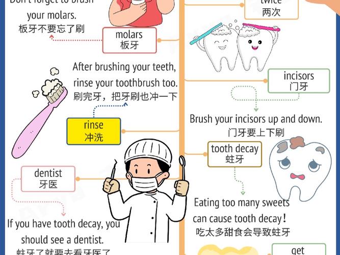 种牙四个英文-图2