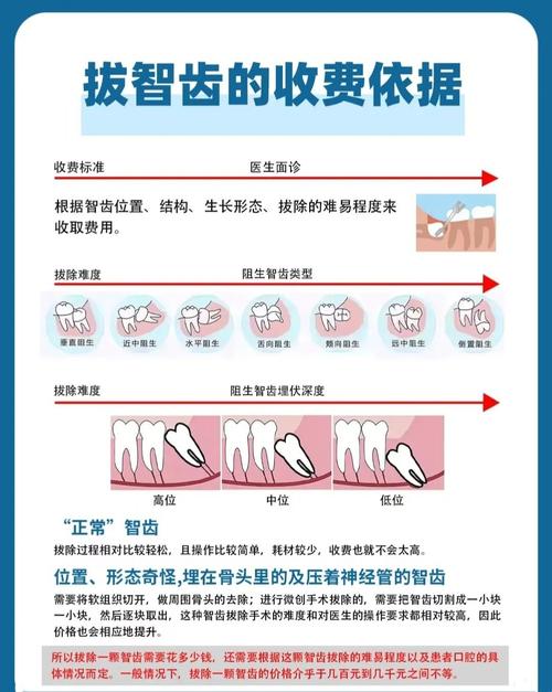 正畸拔牙能内收多少-图3