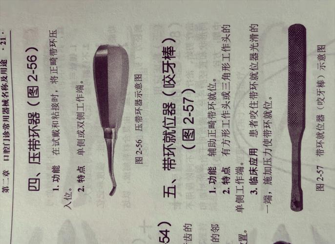 口腔正畸橡皮圈有哪些分类？不同分类有何区别？-图3